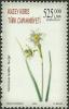 Colnect-4016-698-Narcissus-Tazetta.jpg