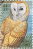 Colnect-1715-786-Barn-Owl-Tyto-alba.jpg