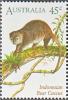 Colnect-2128-025-Sulawesi-Bear-Cuscus-Ailurops-ursinus.jpg
