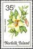 Colnect-2167-360-Hibiscus-insularis---Philip-Island-hibiscus.jpg