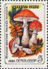 Colnect-3989-030-Fly-agaric-Amanita-muscaria.jpg