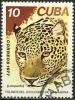 Colnect-1118-271-Leopard-Panthera-pardus.jpg