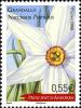 Colnect-4149-753-Narcissus-poeticus.jpg
