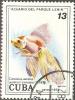 Colnect-691-458-Goldfish-Carassius-auratus-auratus.jpg