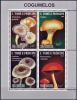 Colnect-5014-927-Various-Mushrooms.jpg