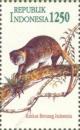 Colnect-1142-328-Sulawesi-Bear-Cuscus-Ailurops-ursinus.jpg