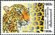Colnect-2715-839-Leopard-Panthera-pardus.jpg