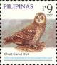 Colnect-2876-031-Short-eared-Owl-Asio-flammeus.jpg