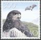 Colnect-3106-935-Black-chested-Buzzard-eagle-Geranoaetus-melanoleucus.jpg
