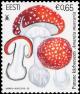 Colnect-3605-766-Fly-agaric-Amanita-muscaria.jpg