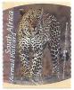 Colnect-3353-186-Leopard-Panthera-pardus.jpg