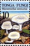 Colnect-3266-531-Marasmiellus-semiustus.jpg