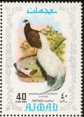 Colnect-1786-011-Brown-Eared-pheasant-Crossoptilon-mantchuricum.jpg