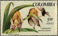 Colnect-4402-670-Catasetum-macrocarpum.jpg