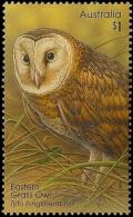 Colnect-6314-239-Eastern-Grass-Owl-Tyto-longimembris.jpg