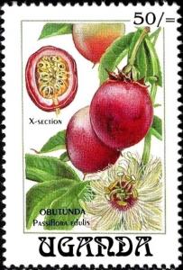 Colnect-6296-156-Passiflora-edulis.jpg