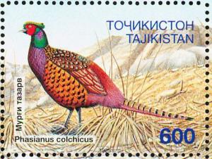 Colnect-1098-645-Common-Pheasant-Phasianus-colchicus.jpg