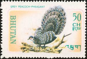 Colnect-1412-498-Grey-Peacock-Pheasant-Polyplectron-bicalcaratum.jpg