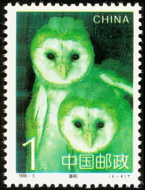Colnect-1561-880-Eastern-Grass-Owl-Tyto-longimembris.jpg