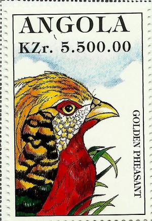 Colnect-2221-077-Golden-Pheasant-Chrysolophus-pictus.jpg