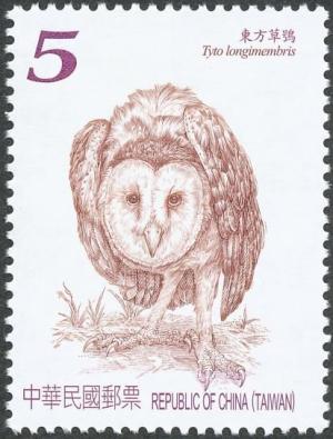 Colnect-2610-146-Eastern-Grass-Owl-Tyto-longimembris.jpg
