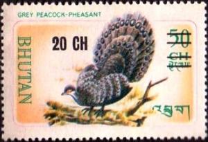 Colnect-3355-375-Grey-Peacock-Pheasant-Polyplectron-bicalcaratum.jpg