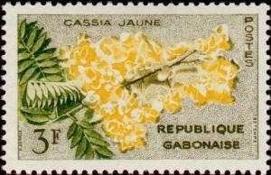 Colnect-956-204-Golden-Shower-Tree-Cassia-fistula--quot-deareana-quot-.jpg