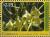 Colnect-1870-421-Brassia-gireoudiana.jpg