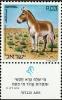 Colnect-2598-040-Syrian-Wild-Ass-Equus-hemionus-hemippus.jpg
