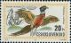 Colnect-418-909-Common-Pheasant-Phasianus-colchicus.jpg