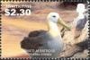 Colnect-1530-076-Waved-Albatross-Diomedea-irrorata.jpg