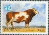Colnect-1699-171-Simmentaler-Cattle-Bos-primigenius-taurus.jpg