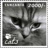 Colnect-2427-360-Domestic-Cat-Felis-silvestris-catus.jpg
