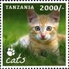 Colnect-2427-361-Domestic-Cat-Felis-silvestris-catus.jpg