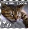 Colnect-2427-362-Domestic-Cat-Felis-silvestris-catus.jpg