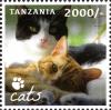 Colnect-2427-364-Domestic-Cat-Felis-silvestris-catus.jpg