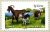 Colnect-2556-634-Corse-Goat-Capra-aegagrus-hircus.jpg