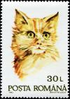 Colnect-4900-227-Domestic-Cat-Felis-silvestris-catus.jpg
