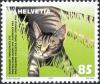 Colnect-529-442-Domestic-Cat-Felis-silvestris-catus.jpg