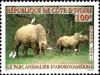 Colnect-6142-453-White-Rhinoceros-Ceratotherium-simum-Cattle-Egret-Bubulc.jpg