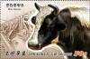 Colnect-6777-956-Cattle-Bos-taurus.jpg