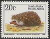 Southern-African-Hedgehog---Atelerix-frontalis-English.jpg