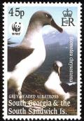 Colnect-4571-620-Grey-headed-Albatross-Thalassarche-chrysostoma.jpg