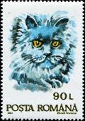 Colnect-4900-228-Domestic-Cat-Felis-silvestris-catus.jpg