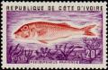 Colnect-955-394-West-African-Goatfish-Pseudupeneus-prayensis.jpg