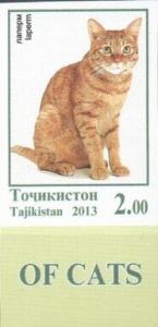 Colnect-6309-167-La-Perm-Cat-Felis-silvestris-catus.jpg
