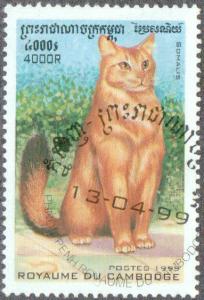 Colnect-2682-295-Somalian-Cat-Felis-silvestris-catus.jpg