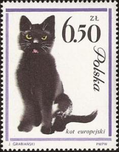 Colnect-452-123-Domestic-Cat-Felis-silvestris-catus.jpg