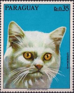 Colnect-2280-962-Domestic-Cat-Felis-silvestris-catus.jpg
