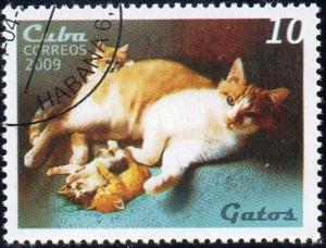 Colnect-1657-011-Domestic-Cat-Felis-silvestris-catus.jpg